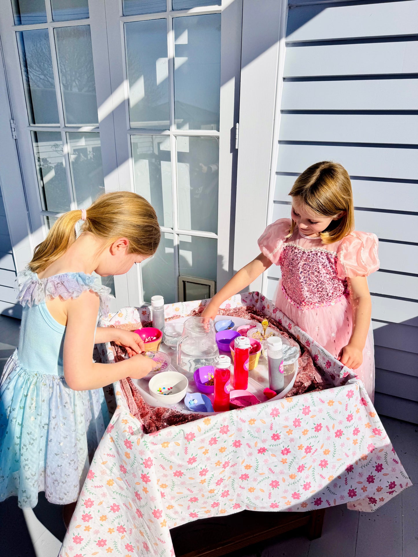 Perfect Princess Potion Kit